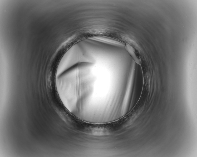 X0000086910400200704301041