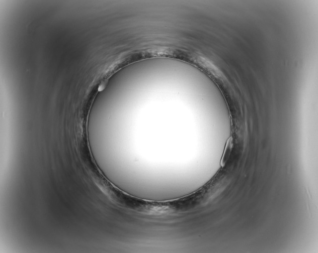 X0000086910401200704301041