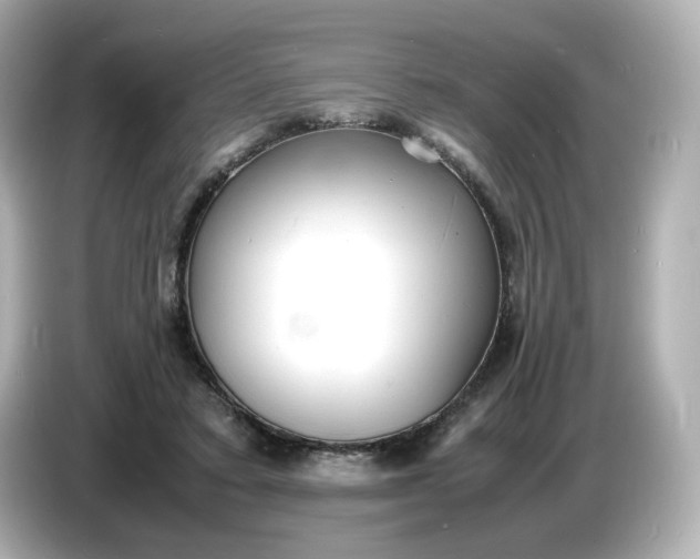 X0000086910403200704301041