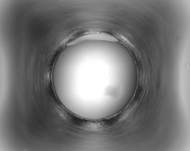 X0000086910405200704301041