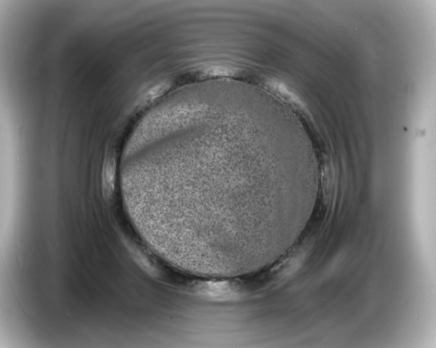 X0000086910406200704301041