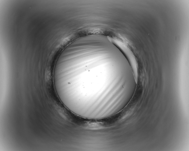 X0000086910407200704301041