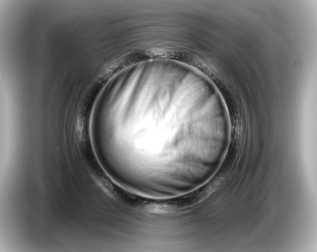 X0000086910408200704301041