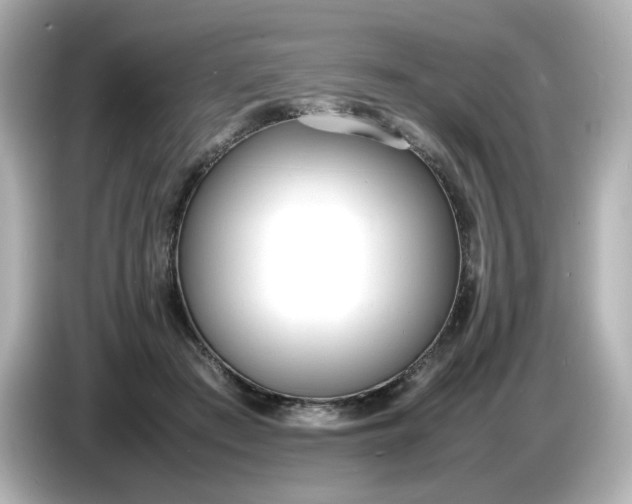 X0000086910409200704301041