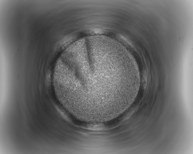 X0000086910410200704301041