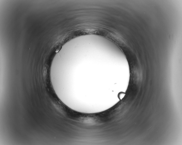 X0000086910412200704301041