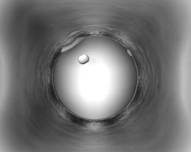 X0000086910413200704301041