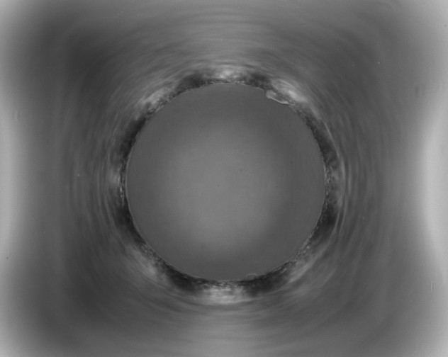 X0000086910415200704301041