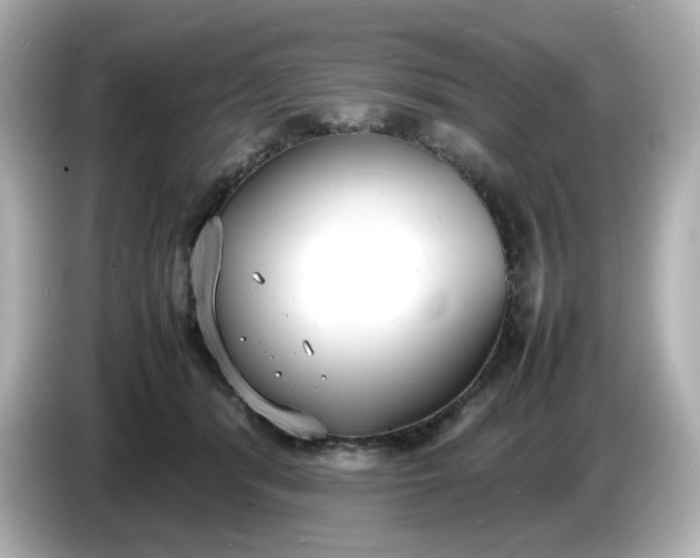 X0000086910416200704301041