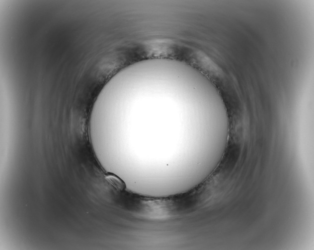 X0000086910417200704301041