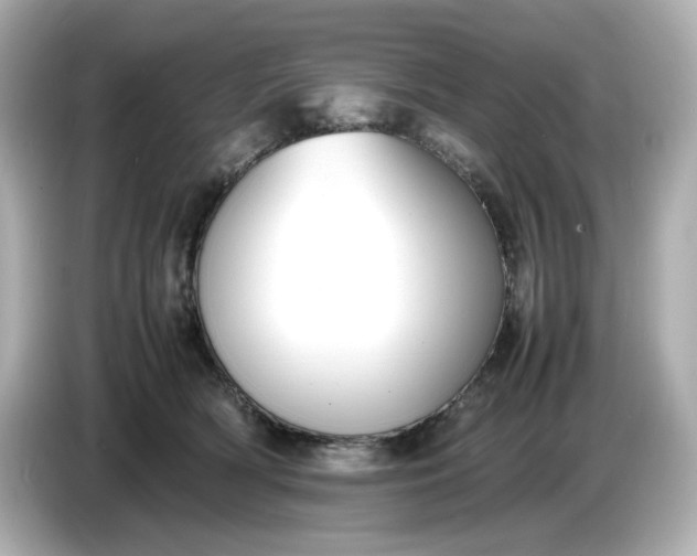 X0000086910418200704301041