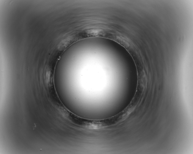 X0000086910420200704301041