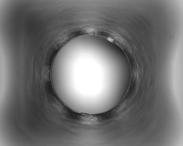 X0000086910421200704301041