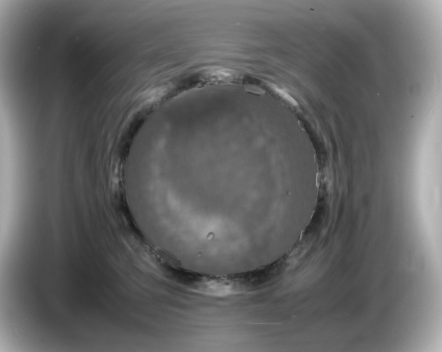 X0000086910423200704301041