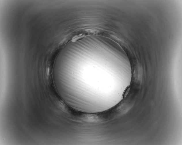 X0000086910424200704301041