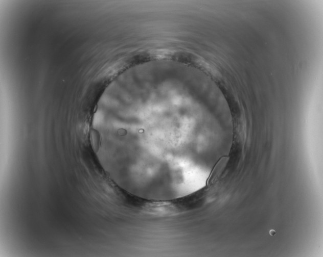 X0000086910427200704301041