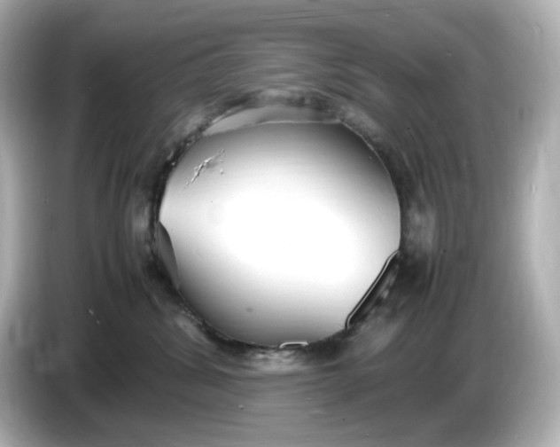 X0000086910428200704301041