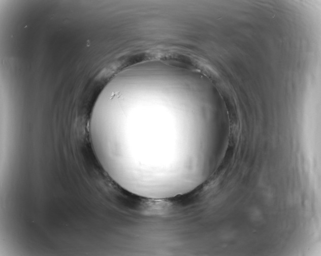 X0000086910429200704301041