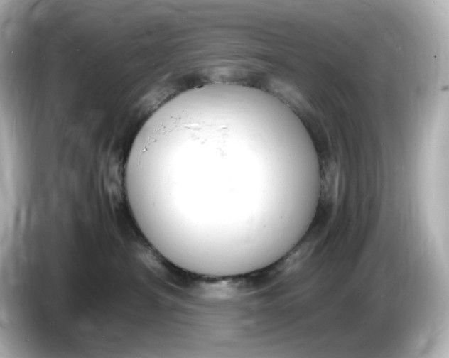 X0000086910430200704301041