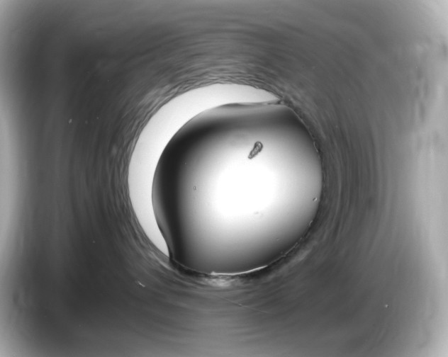 X0000086910432200704301041