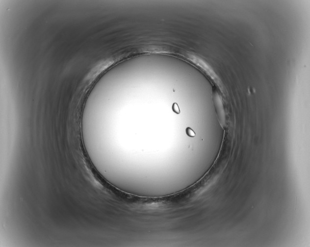 X0000086910433200704301040