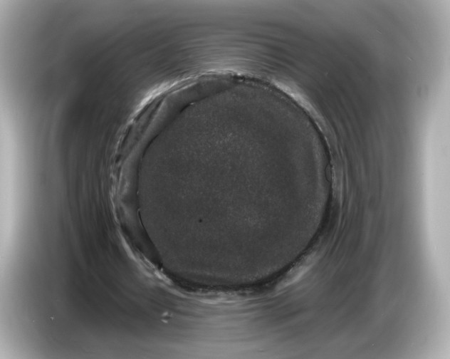 X0000086910434200704301040