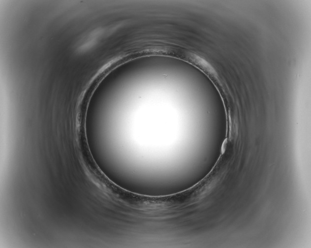 X0000086910435200704301040