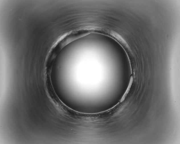 X0000086910436200704301040