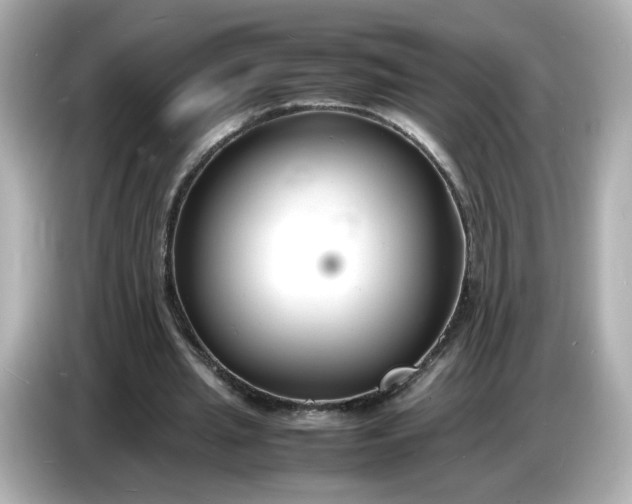 X0000086910437200704301040