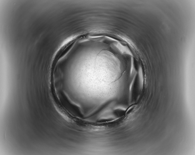 X0000086910438200704301040