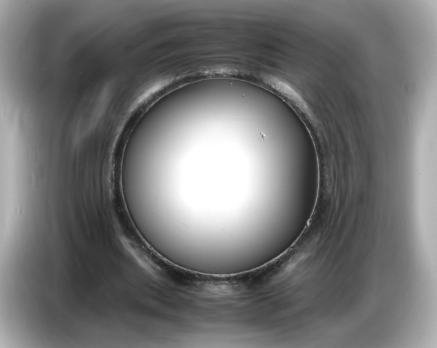 X0000086910439200704301040