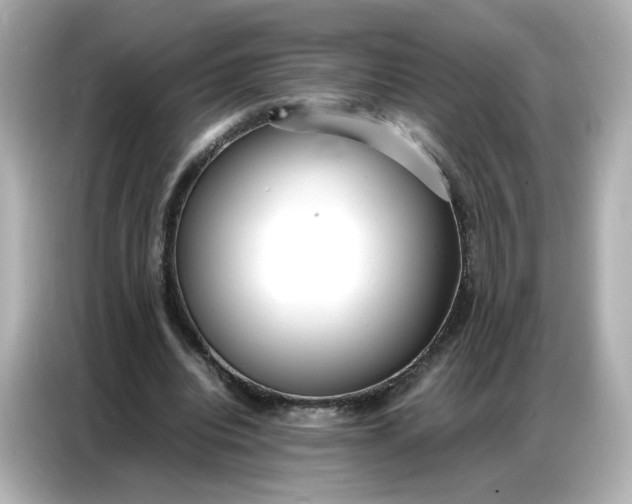 X0000086910440200704301040