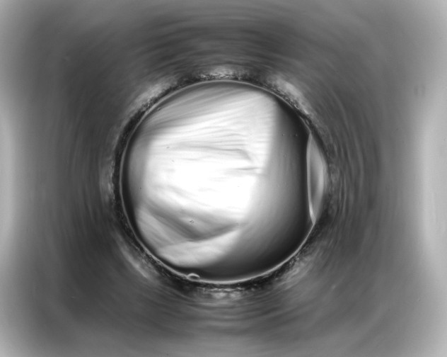 X0000086910443200704301040