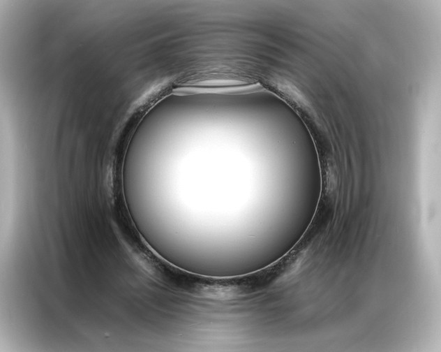 X0000086910444200704301040