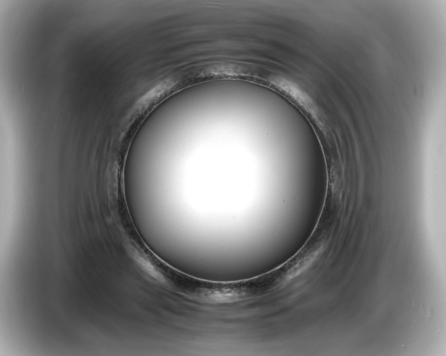 X0000086910445200704301040