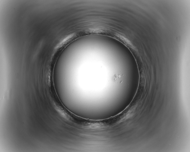 X0000086910446200704301040