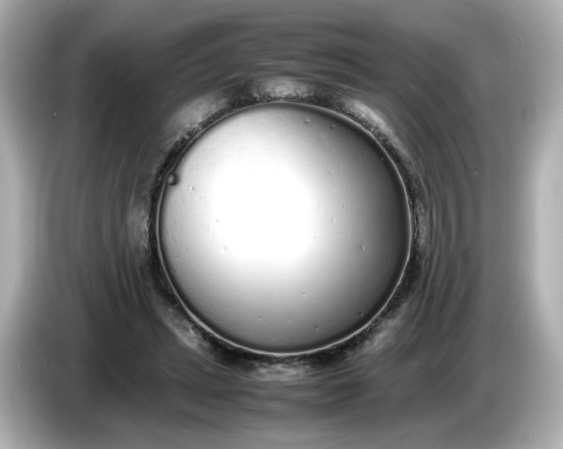 X0000086910447200704301040