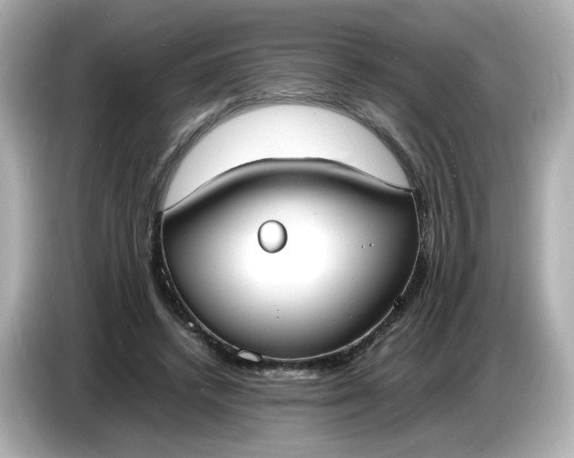 X0000086910448200704301040