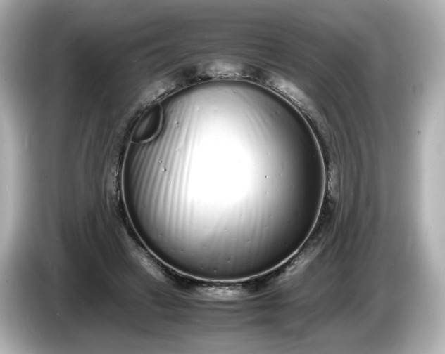 X0000086910449200704301040