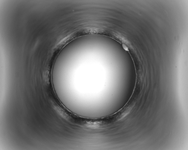 X0000086910450200704301040