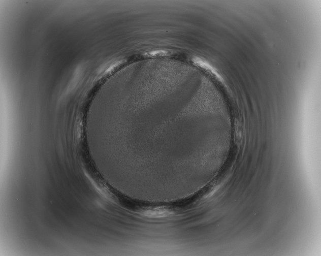 X0000086910451200704301040