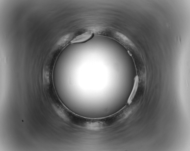 X0000086910452200704301040