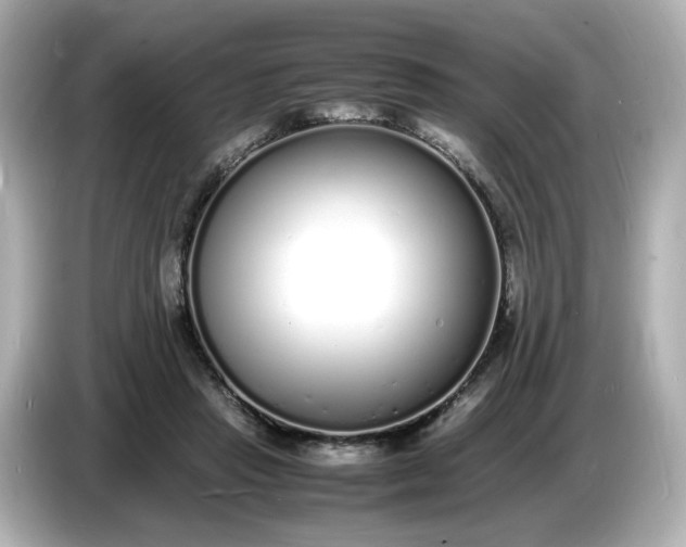 X0000086910453200704301040