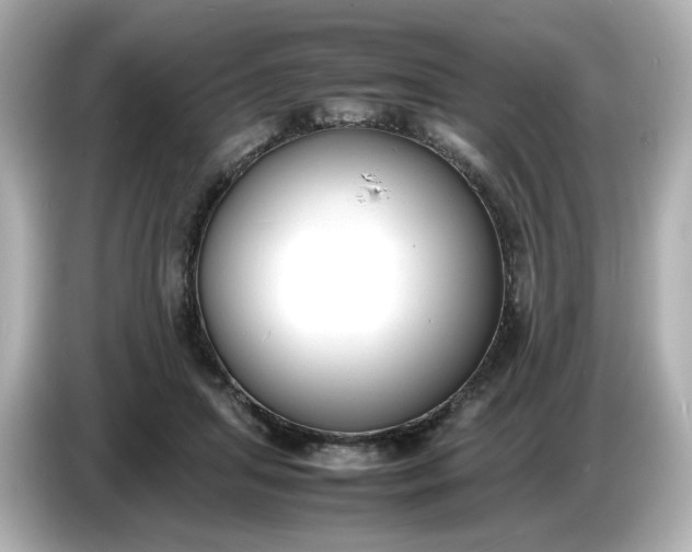 X0000086910455200704301040