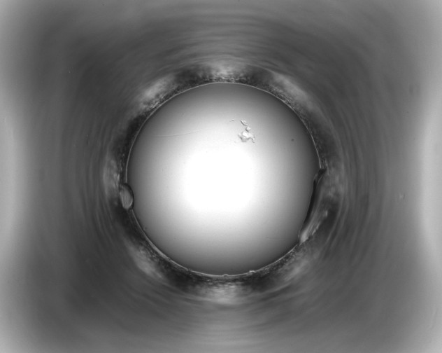 X0000086910456200704301040