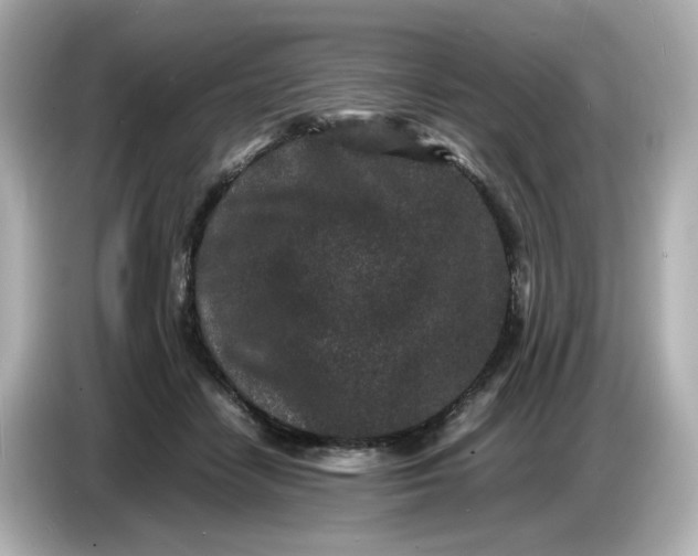 X0000086910458200704301040