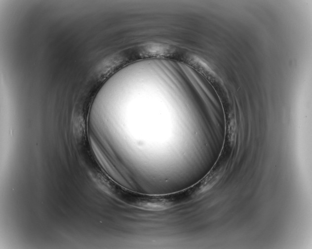 X0000086910459200704301040