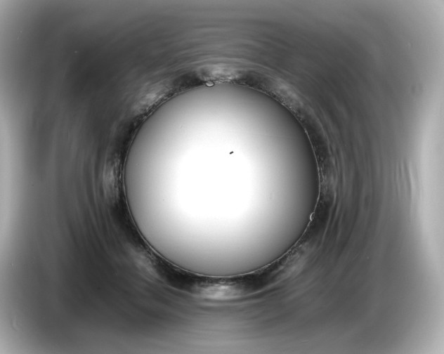 X0000086910460200704301040