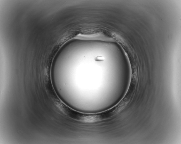 X0000086910461200704301040