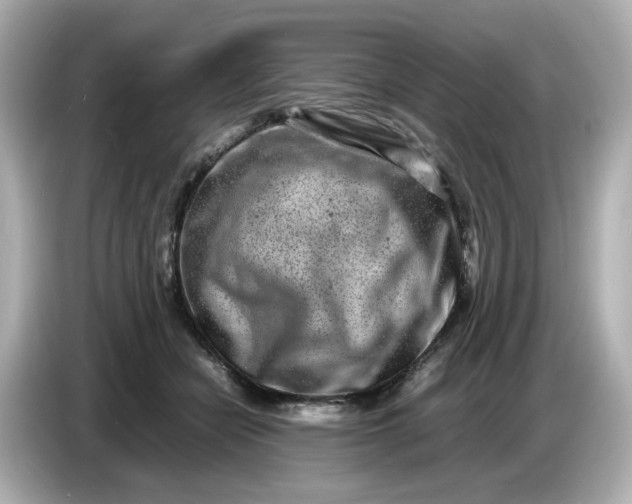 X0000086910462200704301040